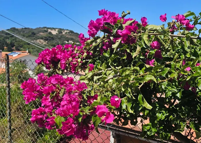 Azzurro Mare بيت للعطل *